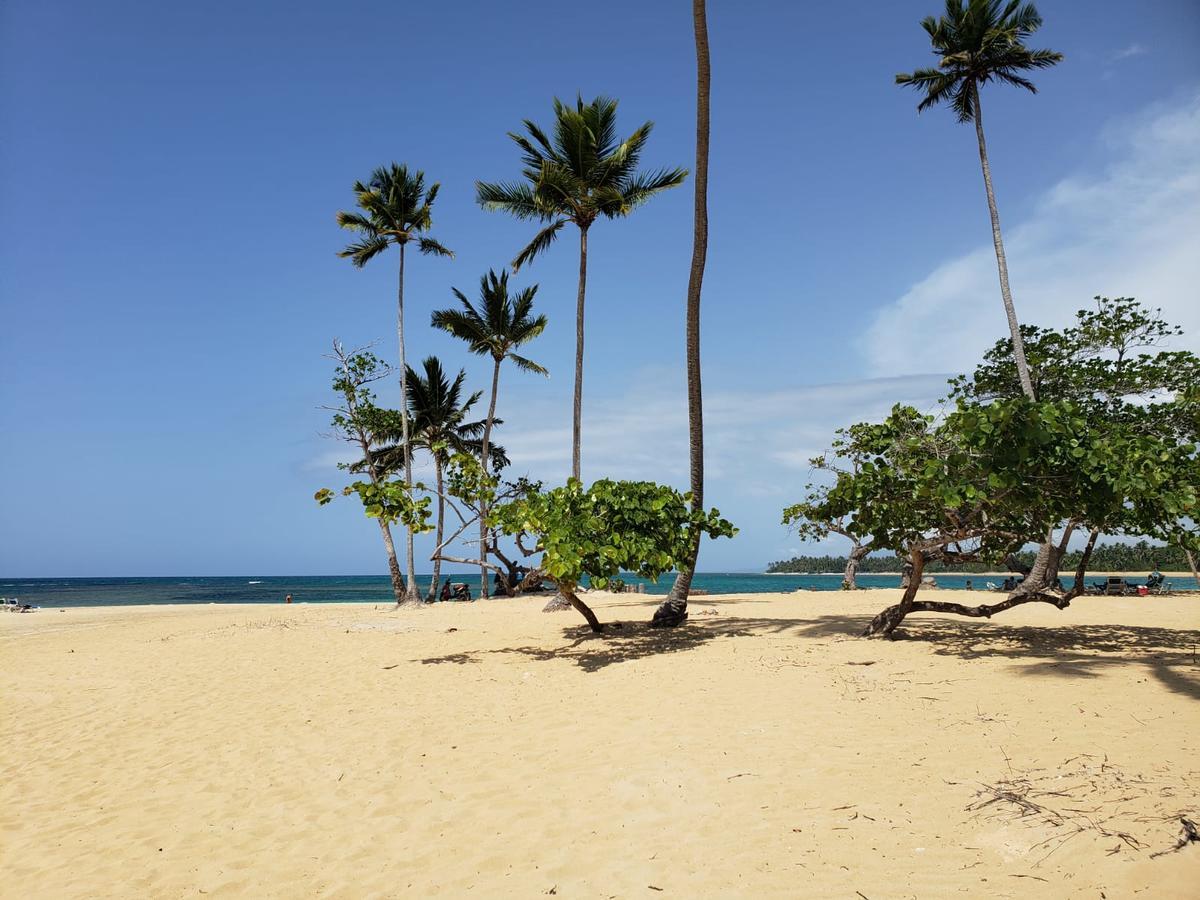 Las Terrenas, La Fenice, Playa Popy Exteriör bild